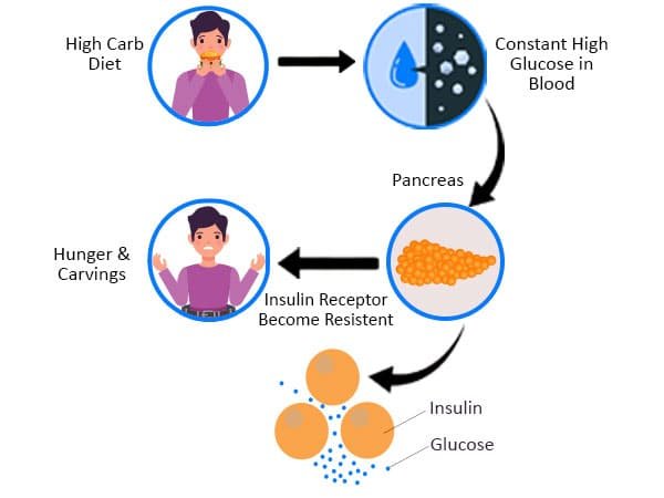 Insulin-Resistance